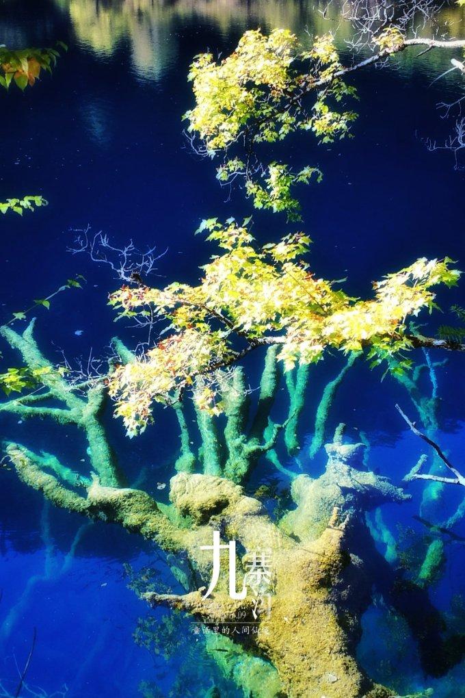 短信被拦截自己知道吗?-专业问答交流平台